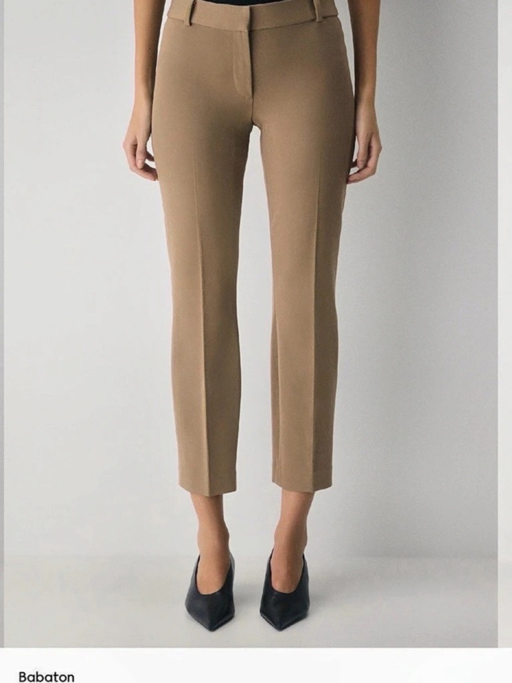 Aritzia- Babaton Penn Pant Ankle Pants